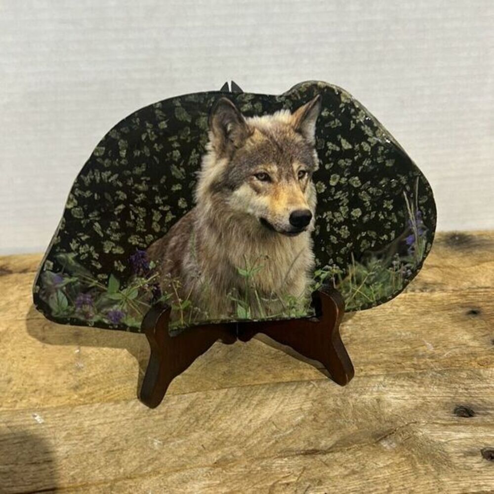 Orca mythical wolf print on stone nature lone wolf ‎ lavender home decor